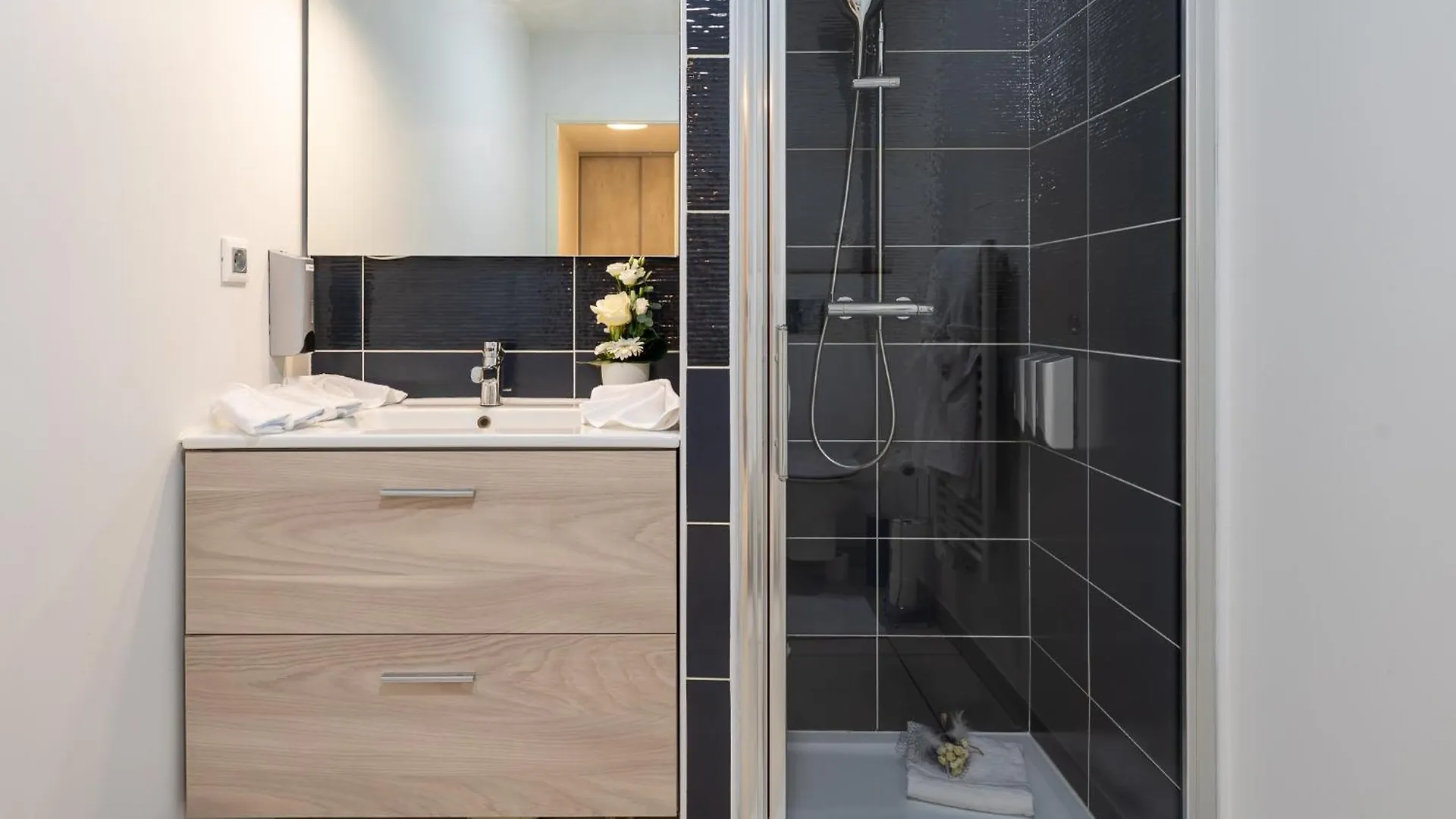 Apartment Au Charme Lyonnais Classe 3 Etoiles Venissieux